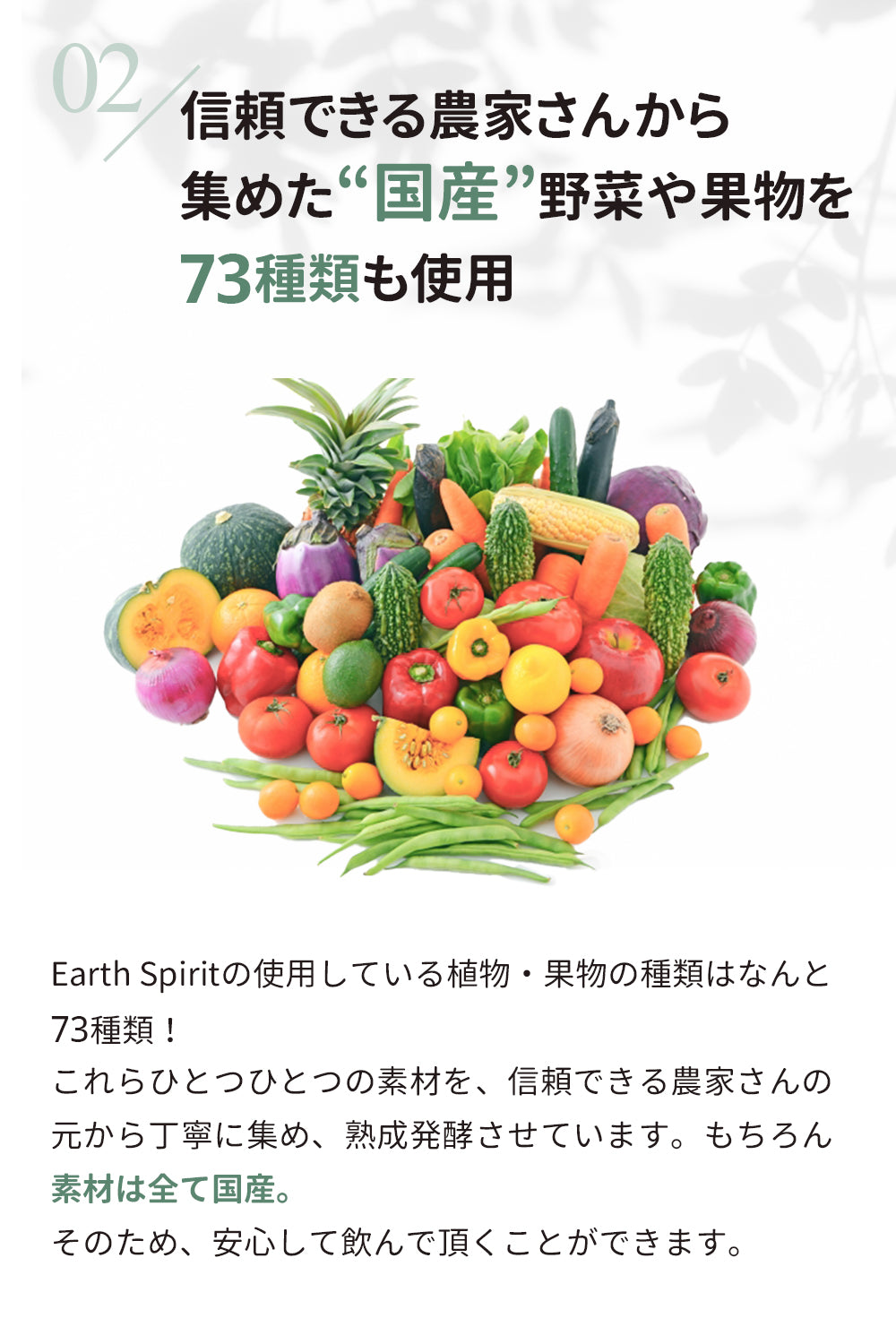 TENMEIオリジナルファスティングドリンク『Earth Spirit