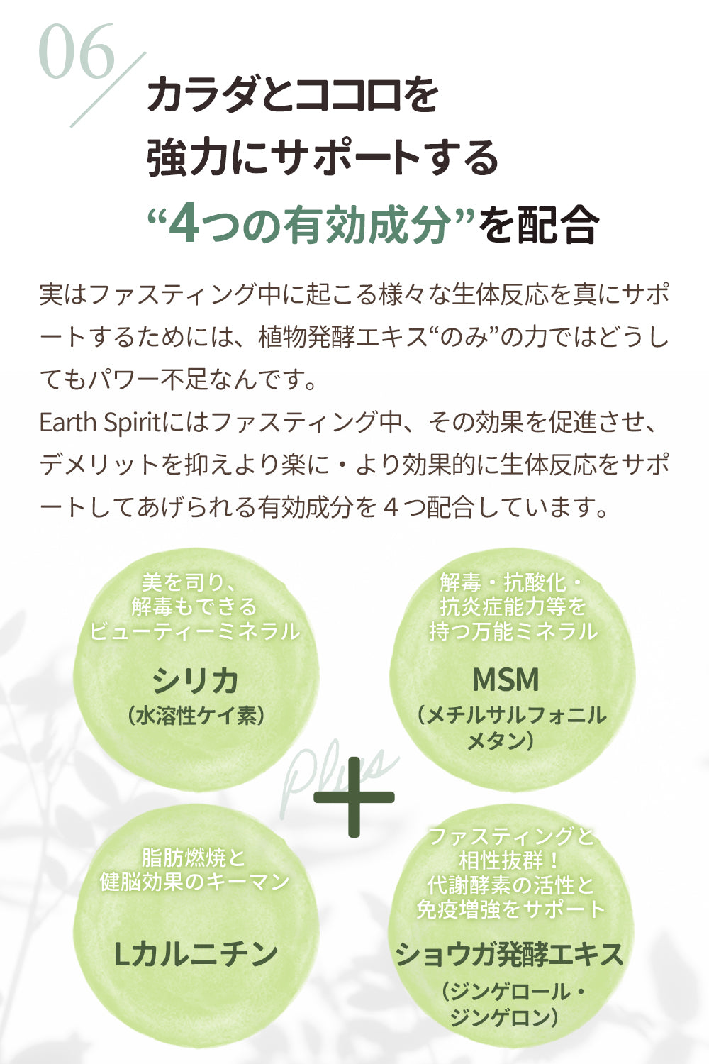 TENMEIオリジナルファスティングドリンク『Earth Spirit』 – TENMEI SHOP